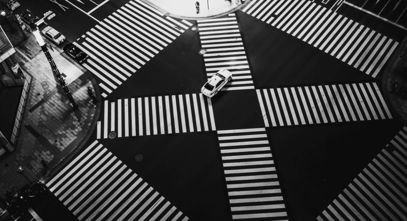 성장 잠재력 실현